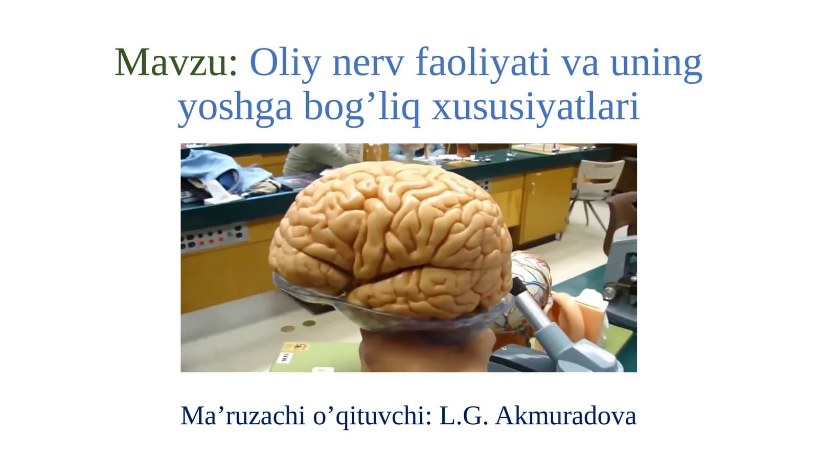 Oliy nerv faoliyati va uning yoshga bog’liq xususiyatlari