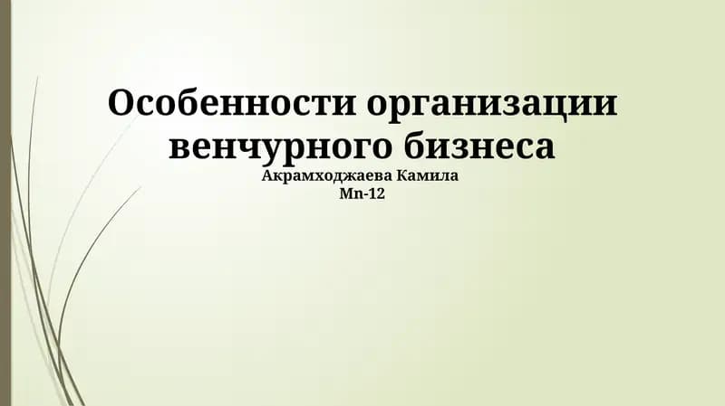 Особенности организации венчурного бизнеса