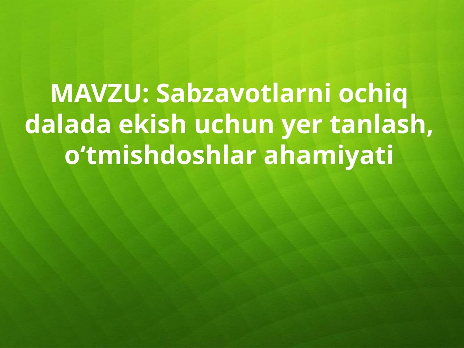 Sabzavotchilik tizimi