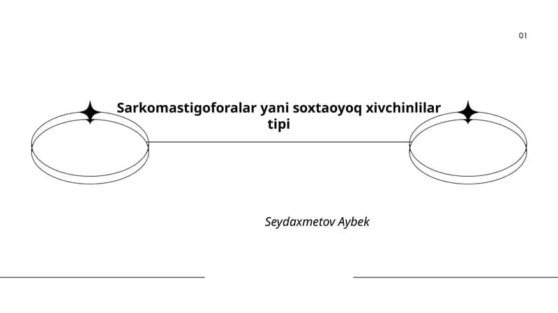 Sarkomastigoforalar yani soxtaoyoq xivchinlilar tipi