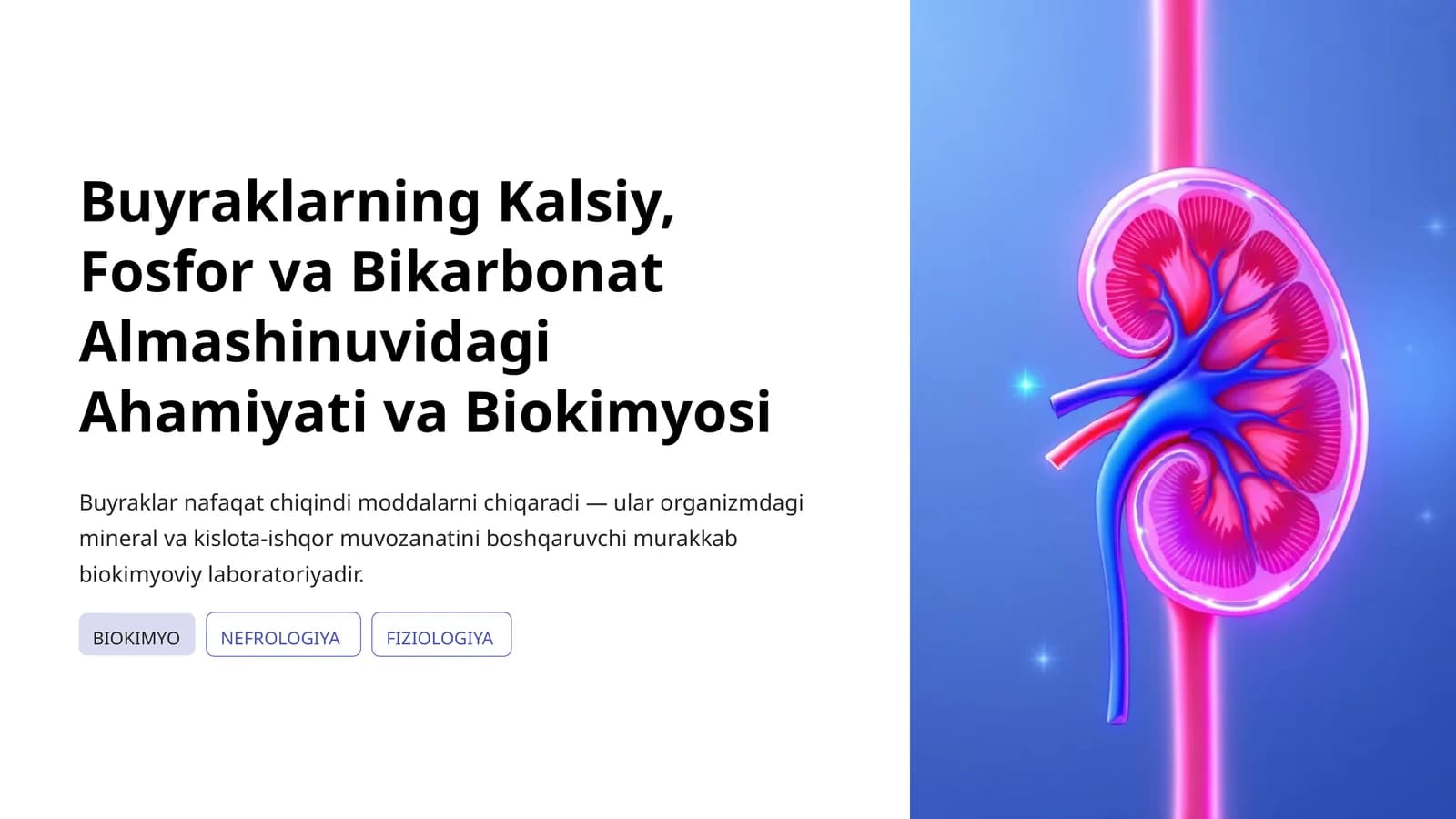 Buyraklarning Kalsiy, Fosfor va Bikarbonat Almashinuvidagi Ahamiyati va Biokimyosi