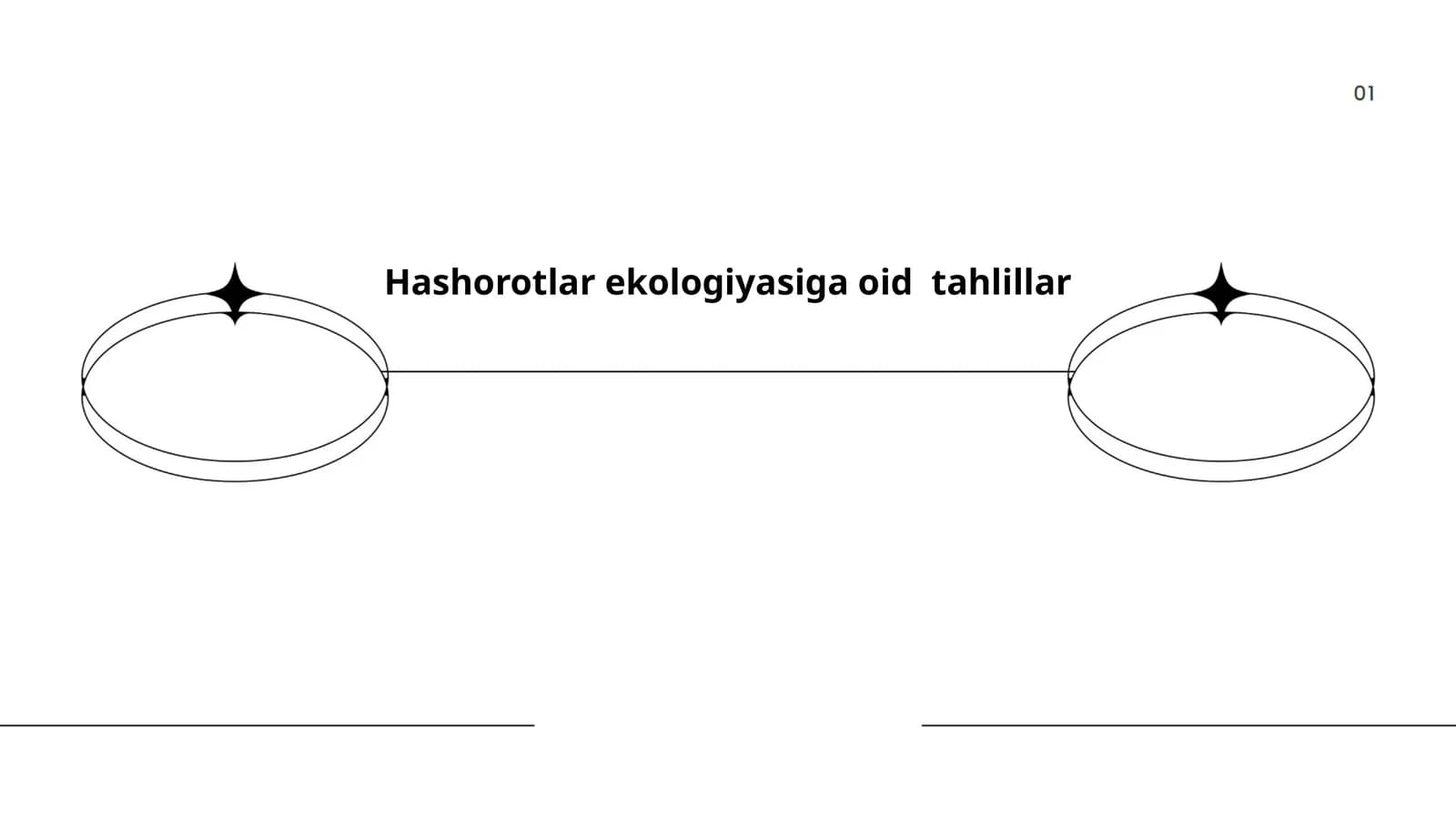 Hashorotlar ekologiyasiga oid tahlillar
