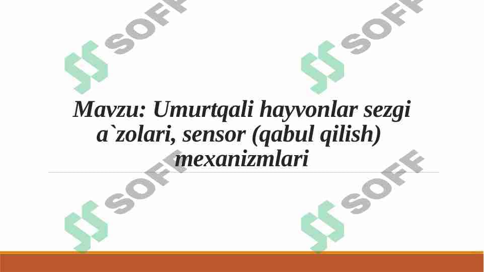 Umurtqali hayvonlar sezgi a`zolari