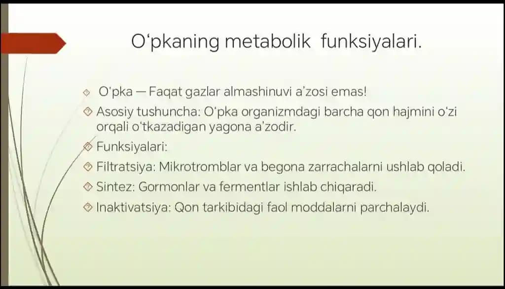 o'pkaning metabolik funksiyalari va ularning buzilishlari