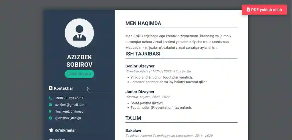 Professional Portfolio shablon