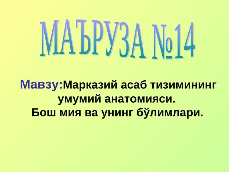 Markaziy asab tizimining umumiy anatomiyasi