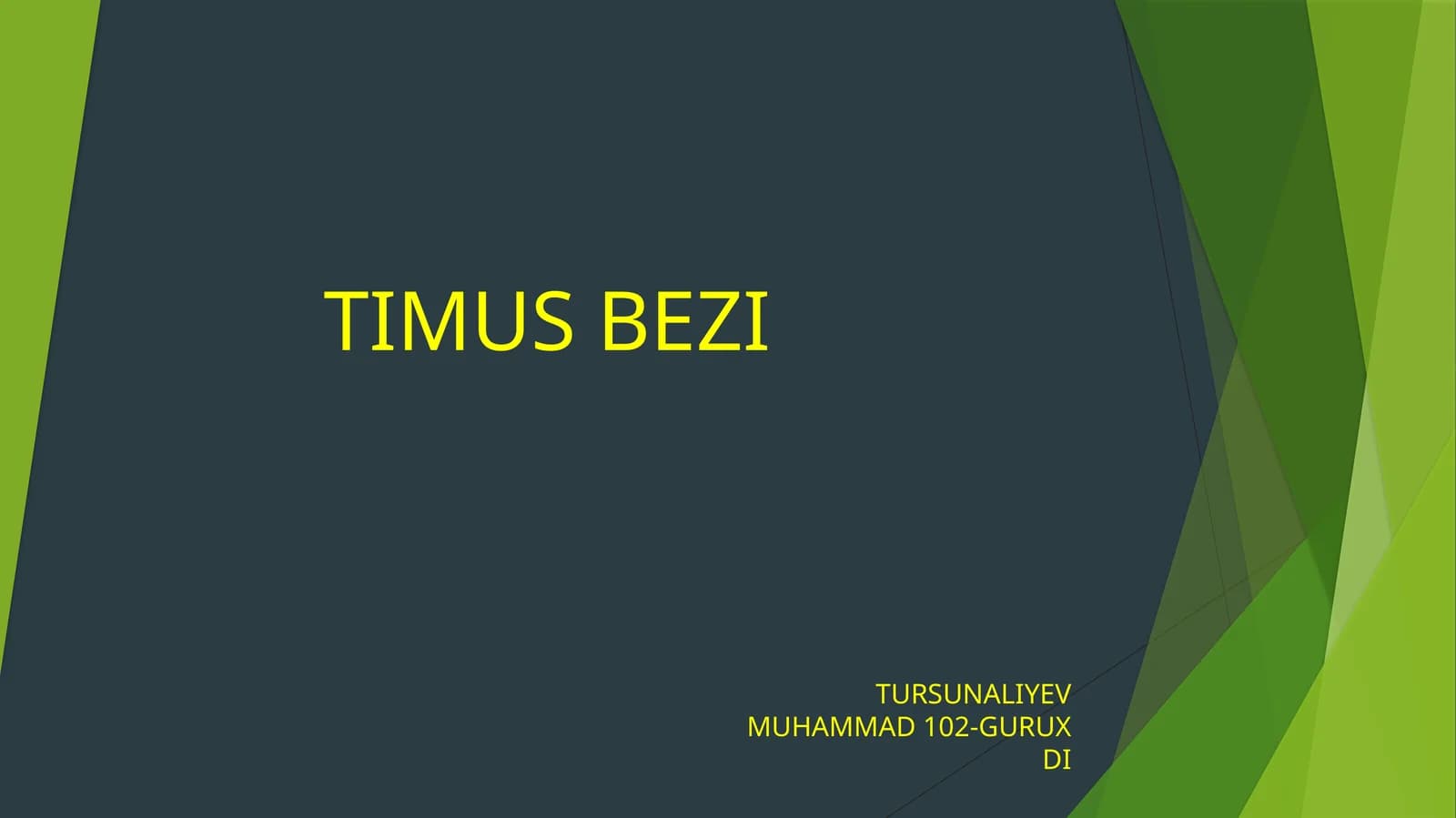 TIMUS BEZI ayrisimon bez