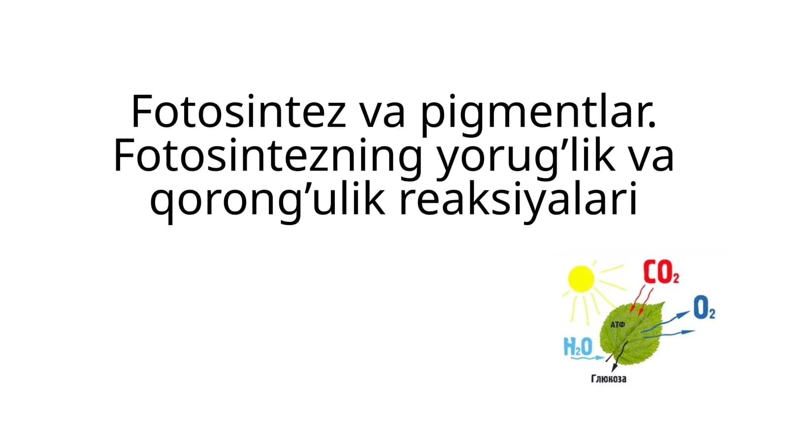 Fotosintez va pigmentlar. Fotosintezning yorug’lik va qorong’ulik reaksiyalari