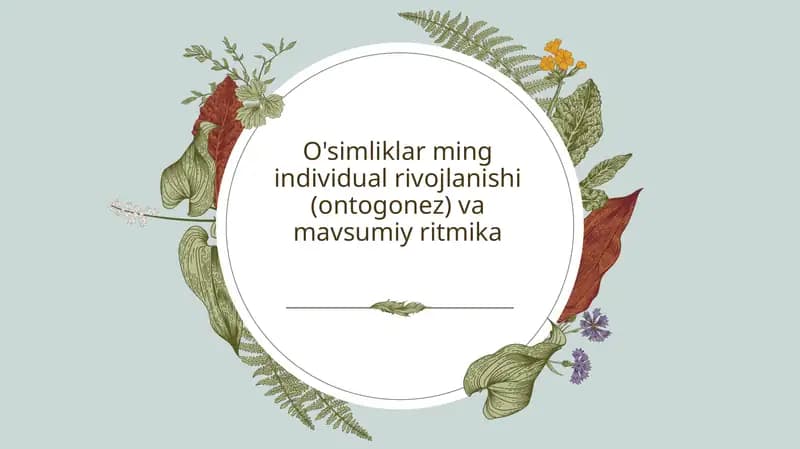 O'simliklarmingin dividual rivojlanishi (ontogonez) va mavsumiy ritmika