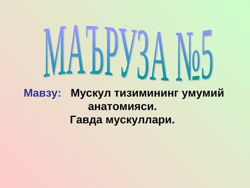 Muskul tizimining umumiy anatomiyasi