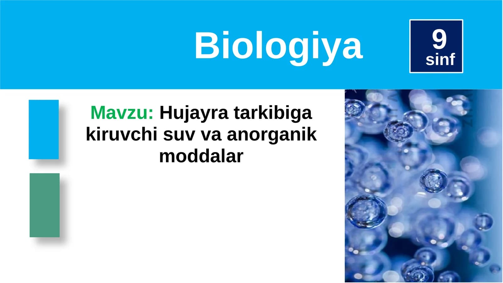 Hujayra tarkibiga kiruvchi suv va anorganik moddalar