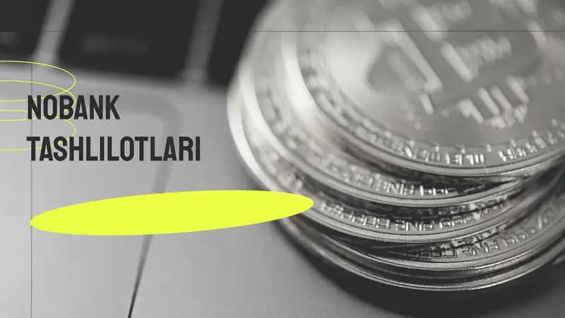 Nobank kredit tashkilotlari