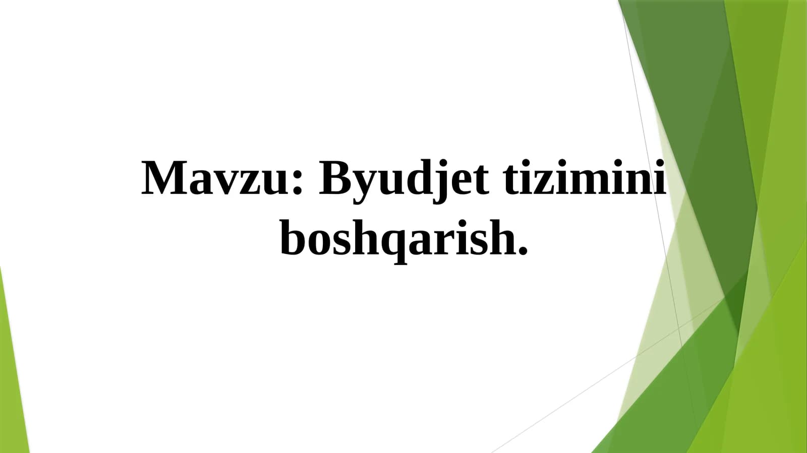 Byudjet tizimini boshqarish