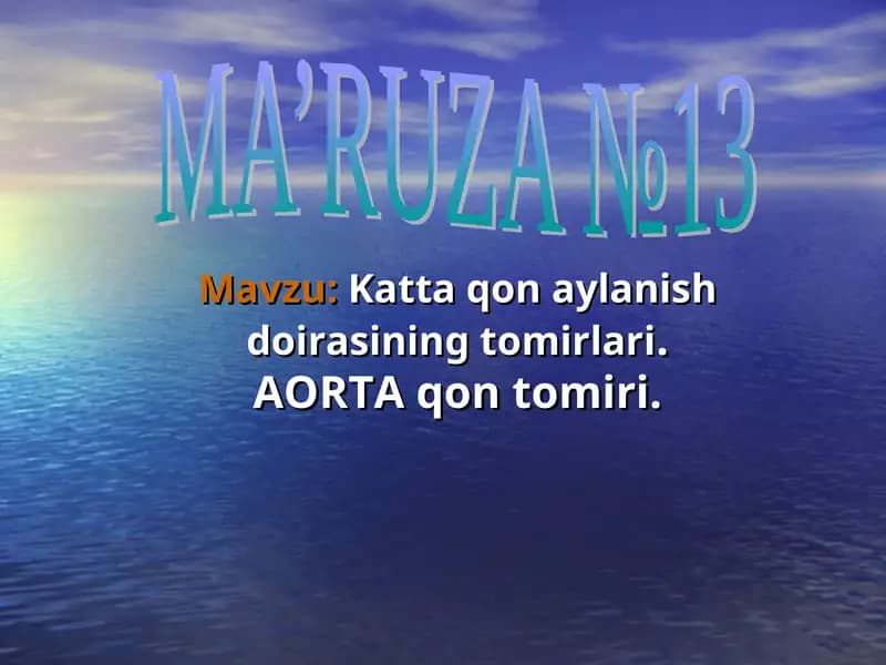 katta qon aylanish sistemasi.