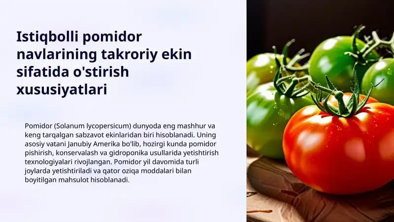 Istiqbolli pomidor navlarining takroriy ekin sifatida o'stirish xususiyatlari
