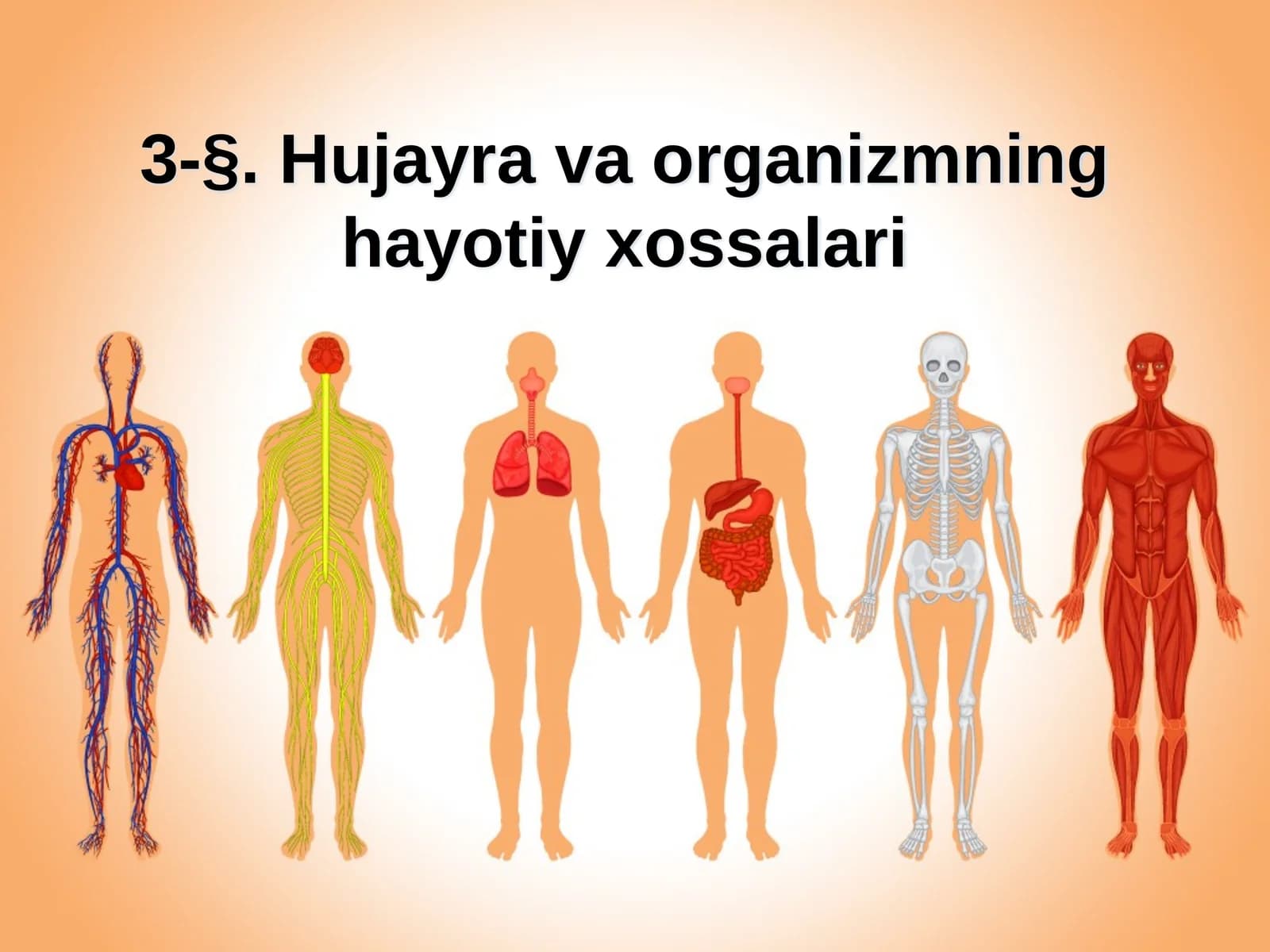 3-§.  Hujayra va organizmning hayotiy xossalari
