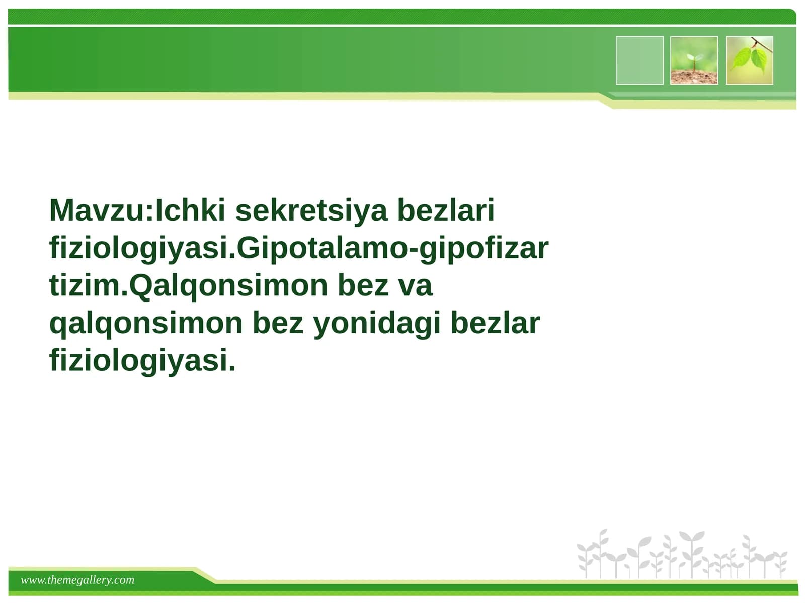 Ichki sekretsiya bezlari fiziologiyasi