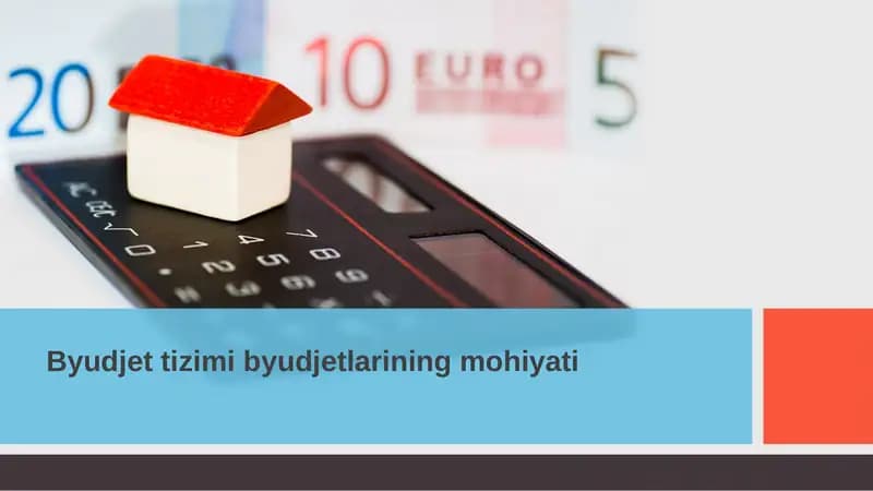 Byudjet tizimi