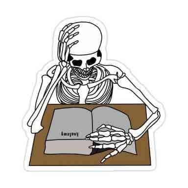 Sotuvchi 219166