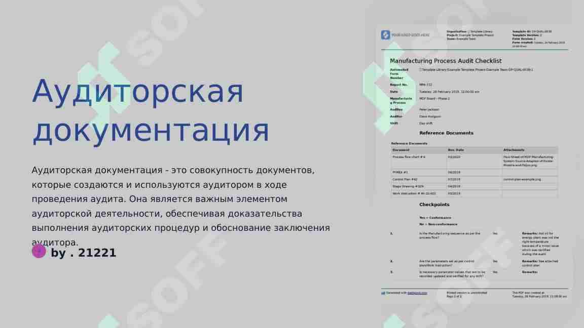 Аудиторская документация
