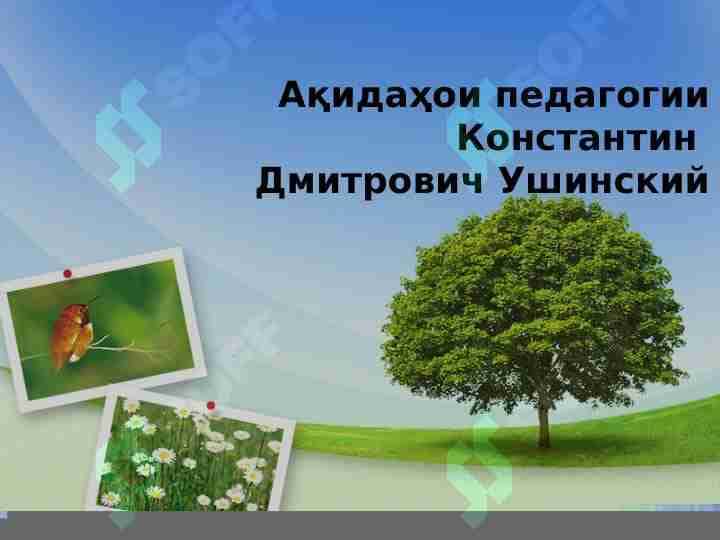 Ақидаҳои педагогии Ушинский