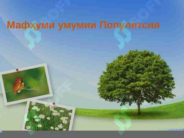 Мафҳуми умумии Популятсия