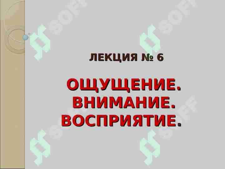 ОЩУЩЕНИЕ ВНИМАНИЕ ВОСПРИЯТИЕ