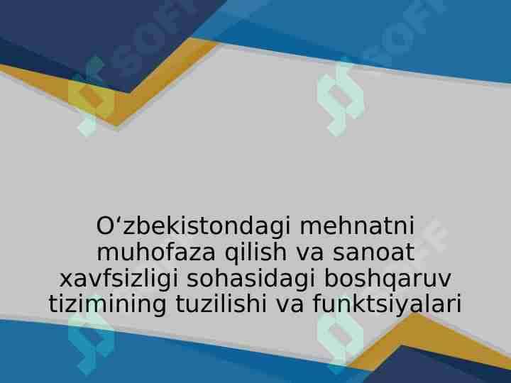 О‘zbekistondagi mehnatni muhofaza qilish va sanoat xavfsizligi sohasidagi boshqaruv tizimining tuzilishi va funktsiyalari