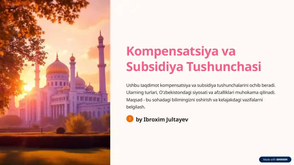 Kompensatsiya va Subsidiya Tushunchasi