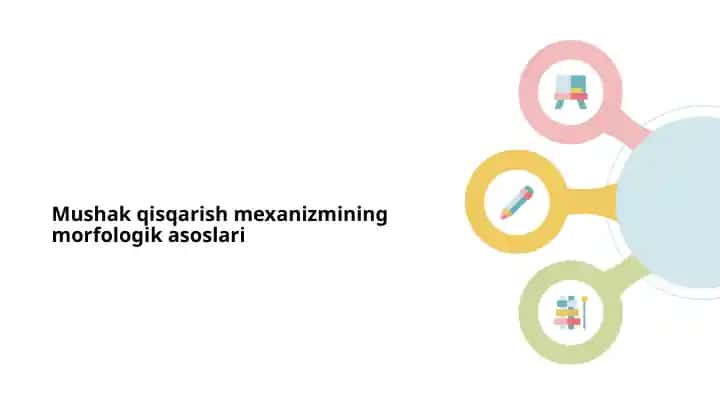 Mushak qisqarish mexanizmining morfologik asoslari