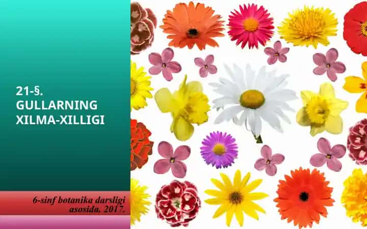 Gullarning Xilma-Xilligi