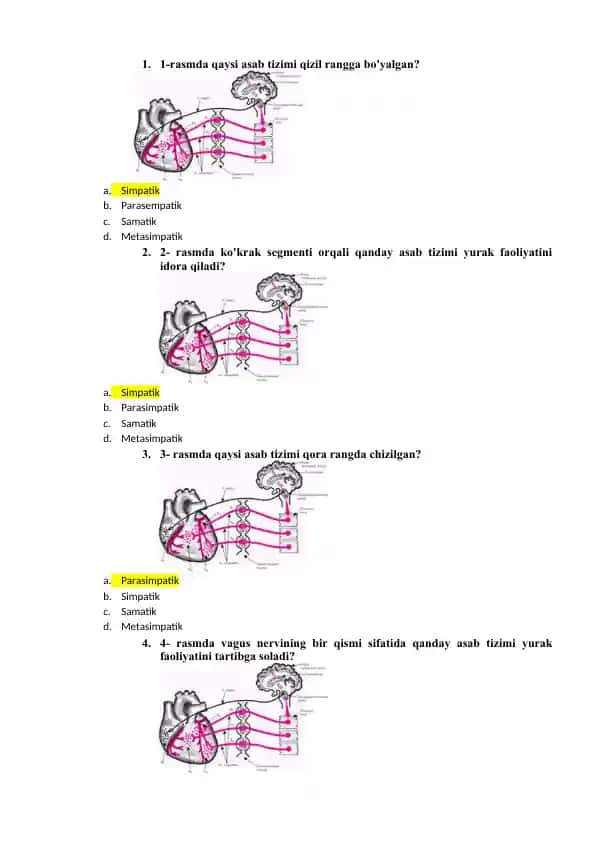 Asab tizimlari haqida test