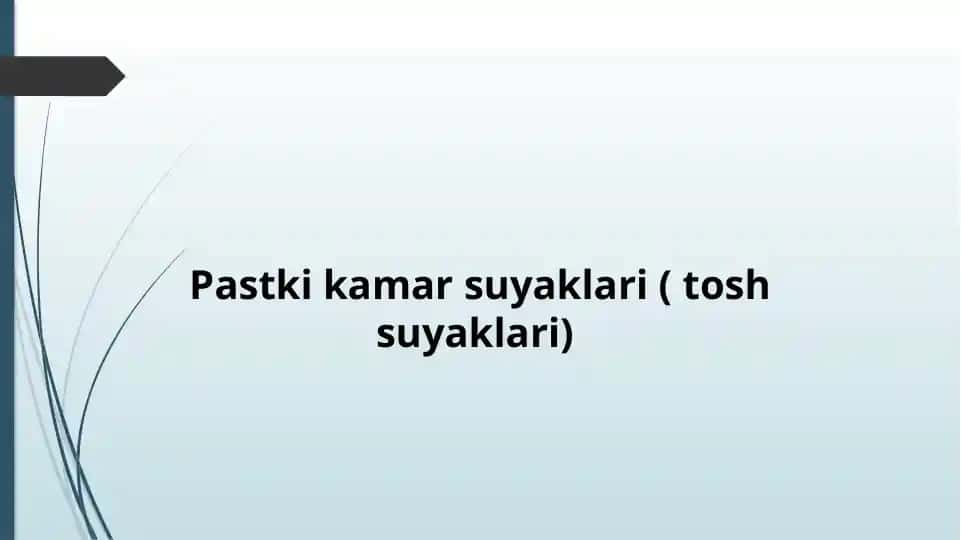 Pastkikamarsuyaklari(toshsuyaklari)