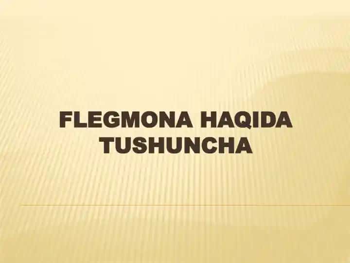 Flegmona Haqida Tushuncha