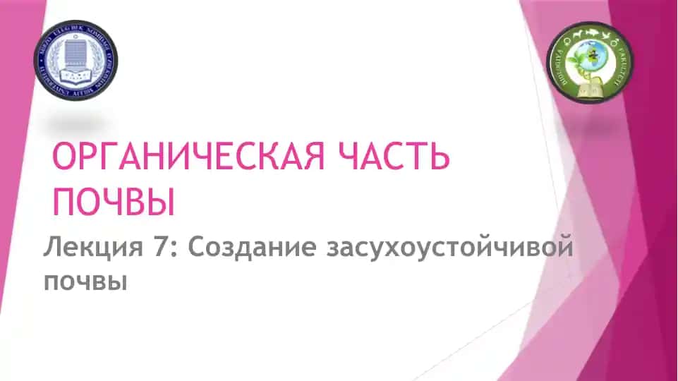 Органическая часть почвы