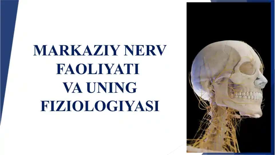 MARKAZIY NERV FAOLIYATI VA UNING FIZIOLOGIYASI