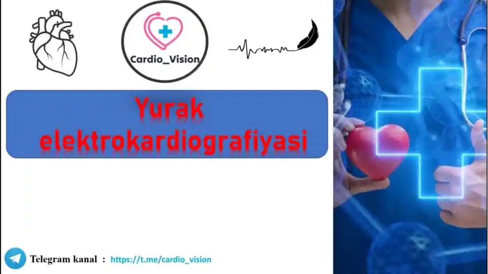 Yurak fiziologiyasi