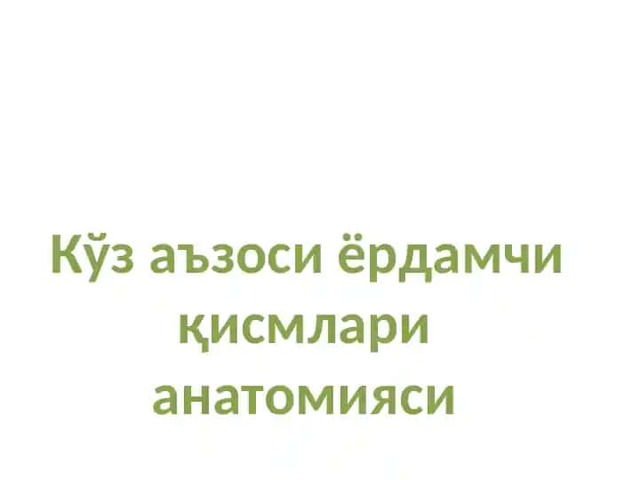 Кўз аъзоси ёрдамчи қисмлари анатомияси