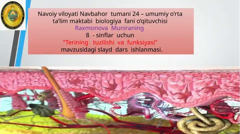 "Terining tuzilishi va funksiyasi" mavzusidagi slayd dars ishlanmasi