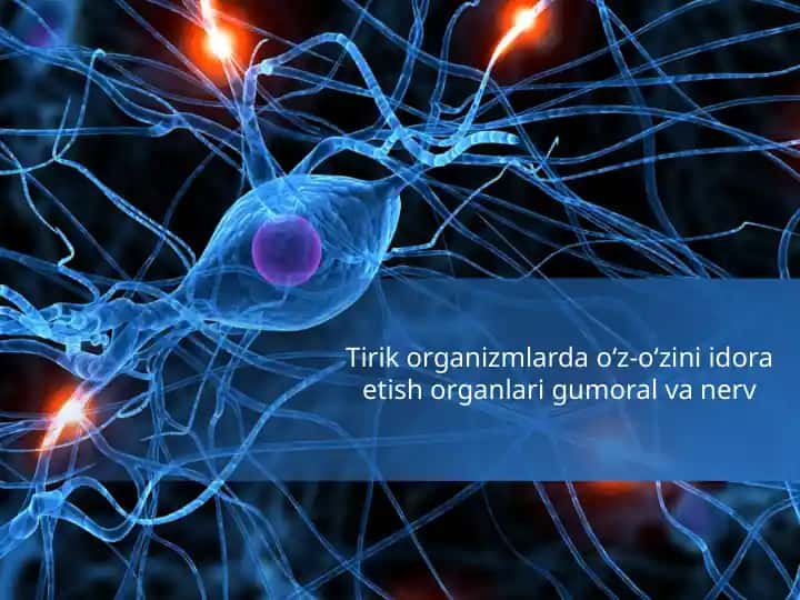 Tirikorganizmlar