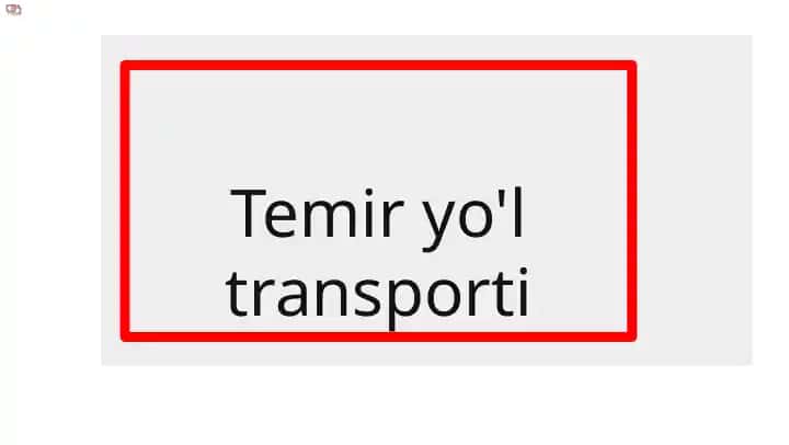 Temir yo'l transporti