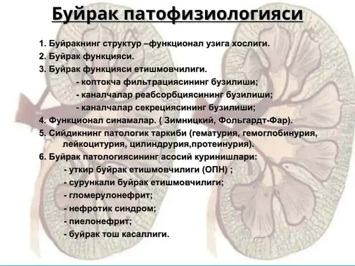 Буйрак патофизиологияси