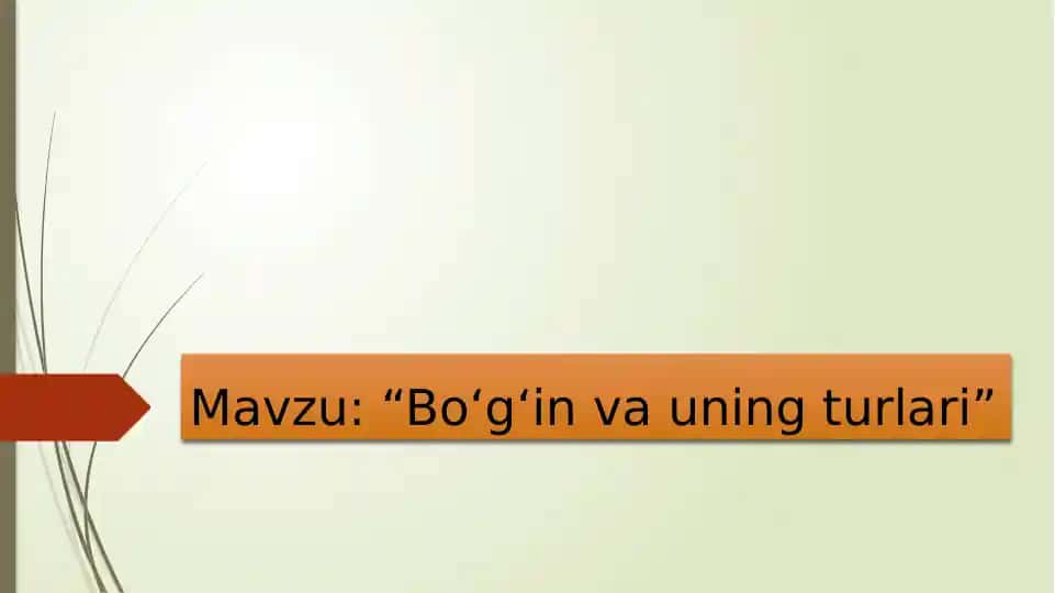 Boʻgʻinlar va ularning xususiyatlari