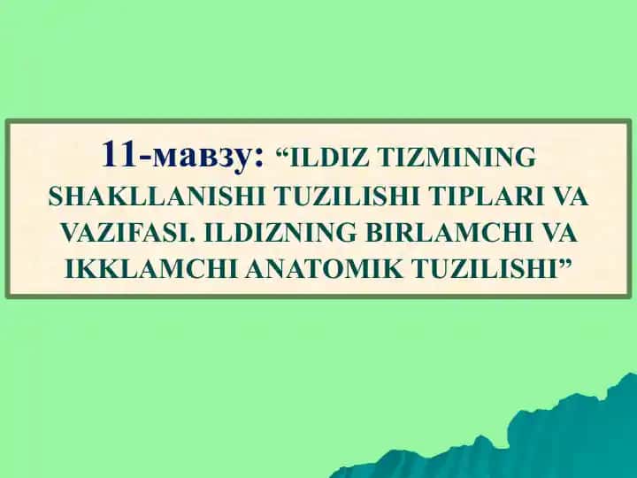 Ildiz Tizimi