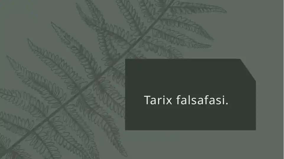 Tarix falsafasi