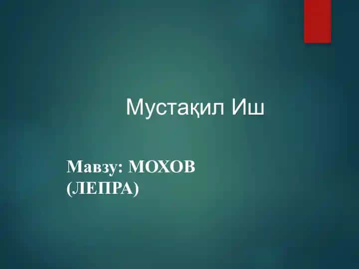 Мохов (Лепра)
