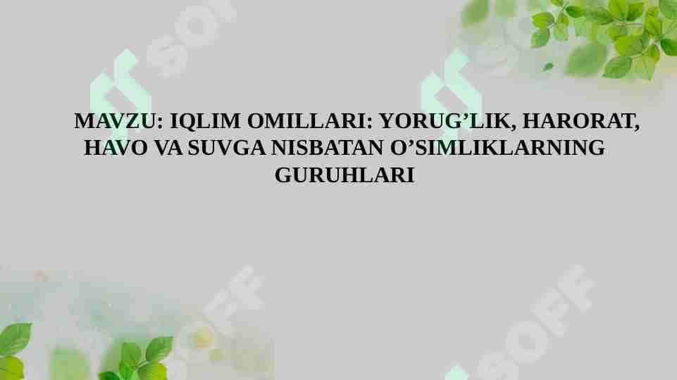 YORUG’LIK, HARORAT, HAVO VA SUVGA NISBATAN O’SIMLIKLARNING GURUHLARI
