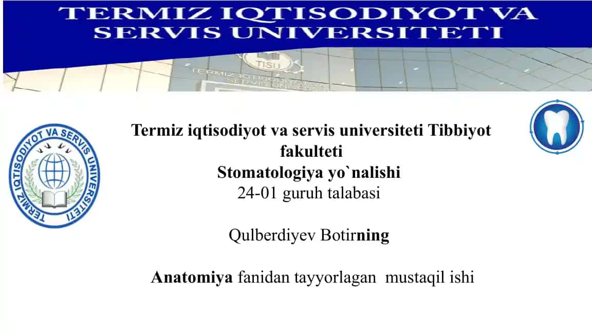 Nafas A'zolari Taraqqiyoti va Burun Anomaliyalari