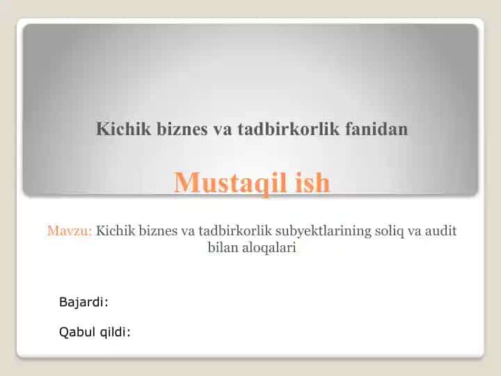 Kichik biznes va tadbirkorlik subyektlarining soliq va audit bilan aloqalari