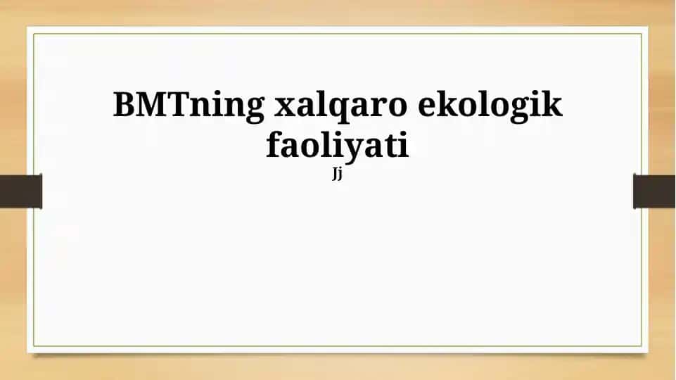 BMTning xalqaro ekologik faoliyati